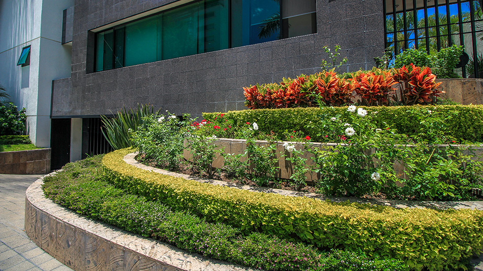 Detalle de jardinera frontal de Providencia Elite
