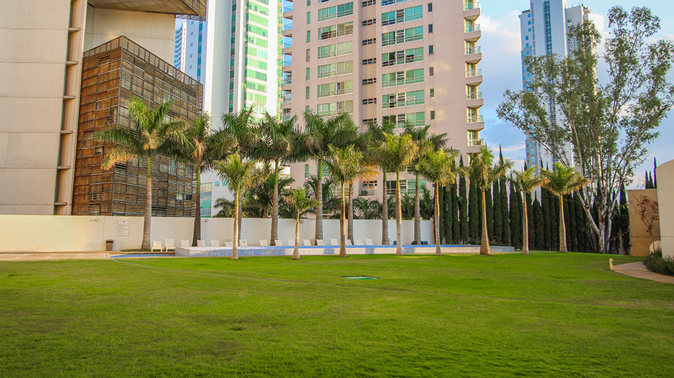 Jardin y zona de alberca en Torre de Hierro