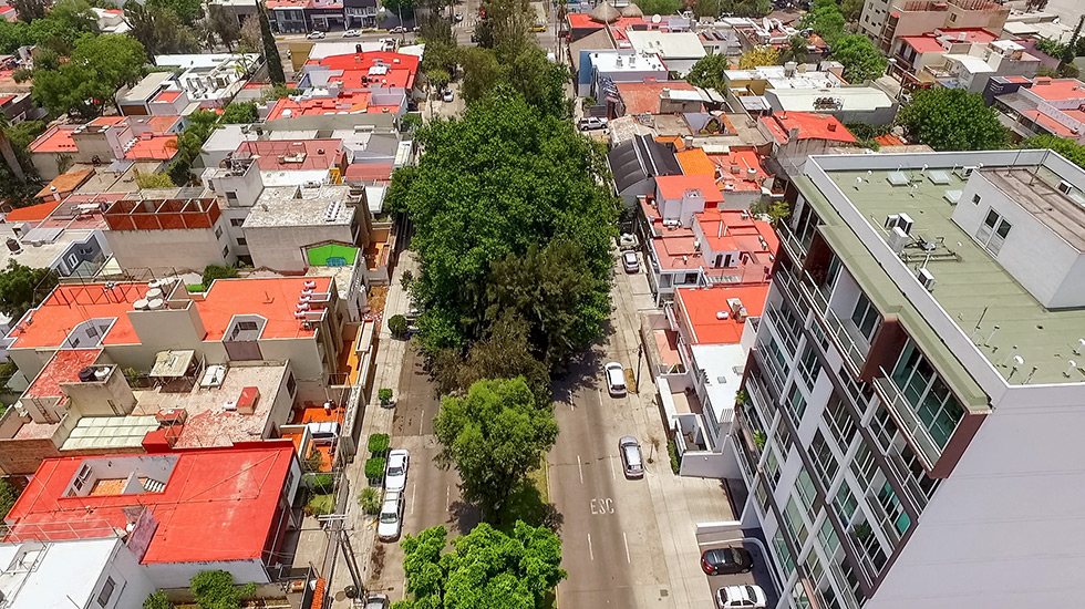 Torre D'Bari Lofts y su calle arbolada
